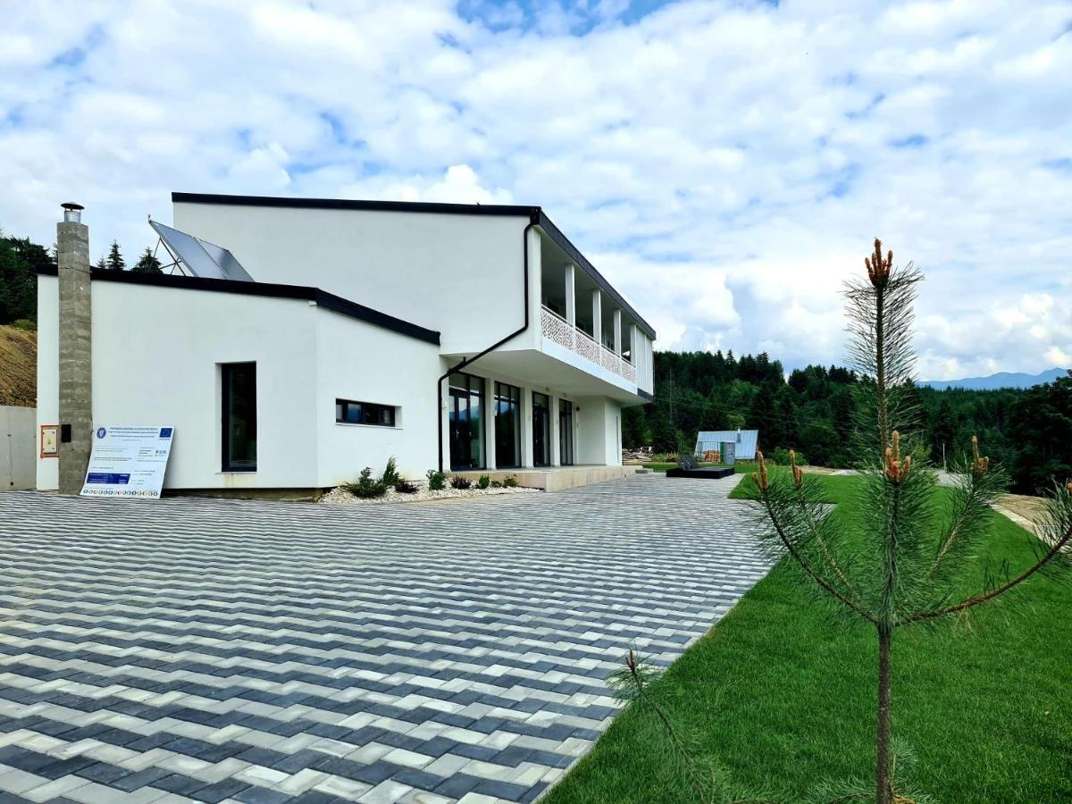 Pensiunea Ddc Colibita Luaran gambar